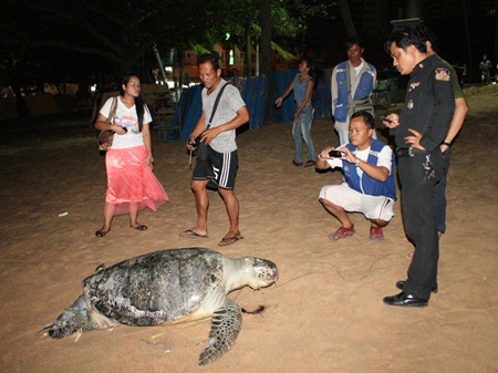 People gather around to witness the old turtle in hopes of gleaning lottery numbers.